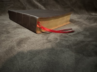 esv thompson chain reference bible English Standard Version Genuine Leather-image