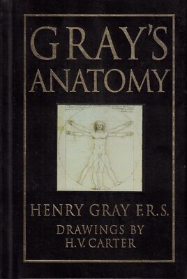 Gray's Anatomy Henry and H.V. Carter Gray-image