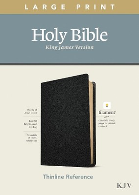 Tyndale House KJV Large Print Thinline Reference Bib (Leather Bound) (UK IMPORT)-image