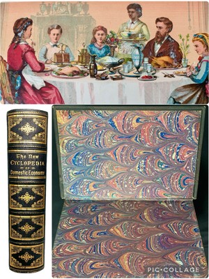 1873 Encyclopedia of Domestic Economy Fine Binding Color Plates Marbled EPs-image