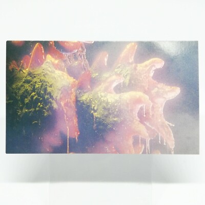 No.90 GodzillaVSDestroyer GOZILLA Card 100 Vol.3 TOHO EIGA 1995 MOVE Japan -image