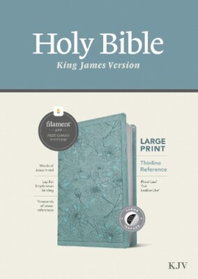 Tyndale KJV Large Print Thinline Reference Bible, Fi (Leather Bound) (UK IMPORT)-image