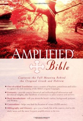 AMPLIFIED BIBLE By Zondervan-image