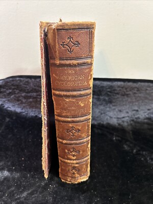 America Cyclopaedia: A popular Dictionary of General Knowledge - Vol XIII 1881-image
