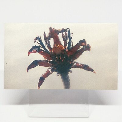 No.56 GodzillaVSDestroyer GOZILLA Card 100 Vol.3 TOHO EIGA 1995 MOVE Japan -image