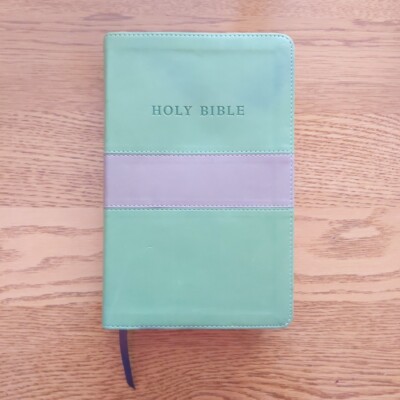 Holy bible KJV Reference Edition Flexisoft Leather 2016-image