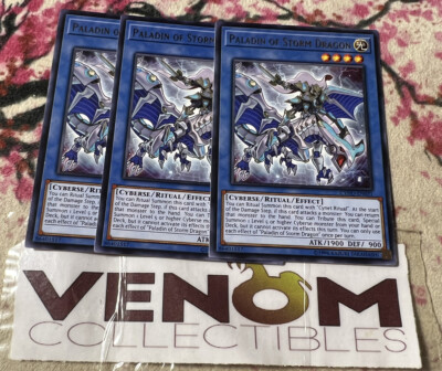 3x (M/NM) - Paladin of Storm Dragon - CYHO-EN031 - Rare - Unlimited YuGiOh-image