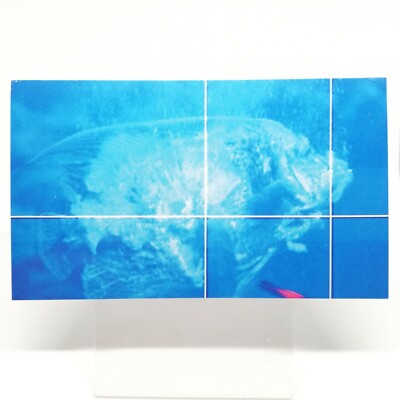 No.23 GodzillaVSDestroyer GOZILLA Card 100 Vol. 3 TOHO EIGA 1995 MOVE Japan -image
