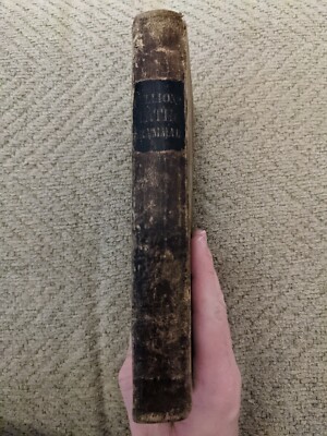 The Principles of Latin Grammar appendix Peter Bullions 1880 Leatherbound-image