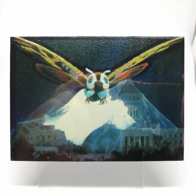 No.30 Mothra GODZILLA Card 1996 JPP AMADA BANDAI Japan 11/13-image