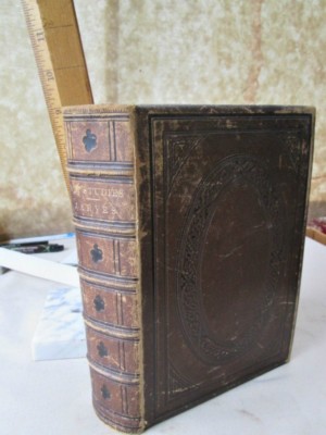 ART STUDIES of OLD MASTERS of ITALY,1861,James Jackson Jarves,Illustrated-image