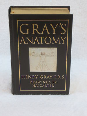 Henry Gray GRAY'S ANATOMY Barnes & Noble 15th Edition 1995 Leather Reprint-image