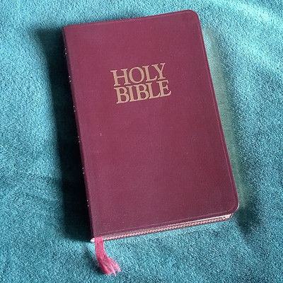 Holy Bible KJV References Red Letter Bonded Leather Concordance Zondervan 1994-image