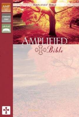 Amplified Bible - Leather Bound By Zondervan - GOOD-image