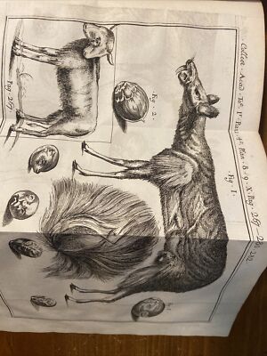 1755 Collection Academique Tome III; Medicine-image