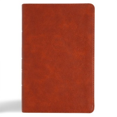Holy Bible : Christian Standard Bible, Burnt Sienna, Leathertouch, Large Prin...-image