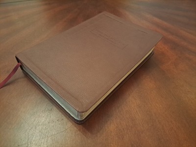 NASB/the Message Parallel Bible by Zondervan Staff (Leather touch)-image