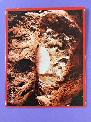 Mothra larva Godzilla 72 Large monster Card TOHO Japanese Vintage Morinaga-image