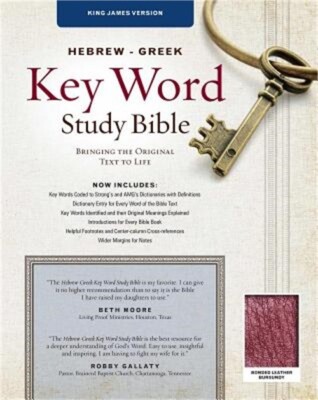 Hebrew-Greek Key Word Study Bible-KJV: Key Insights Into God's Word (Leather / F-image