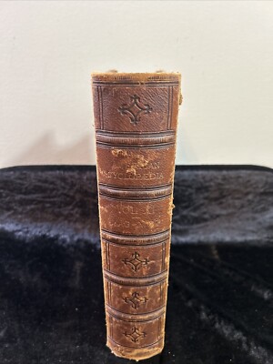 America Cyclopaedia: A popular Dictionary of General Knowledge - Vol XI 1881-image
