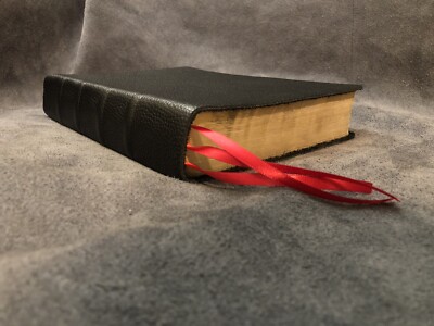 ESV English Standard Version thompson chain reference Bible Genuine Leather-image