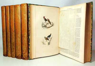Complete Works of Buffon. 165 Color Plates 6/6 Volumes 1839-image
