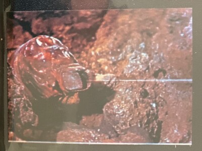1973 vintage GODZILLA Amada Toho kaiju Card Japanese Heisei Larva Mothra #11c-image