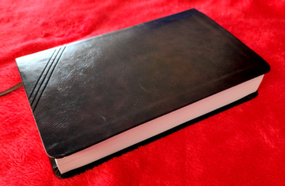Holy Bible NIV, Personal Size, Giant Print, Brown LeatherSoft Cover by Zondervan-image
