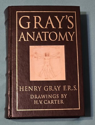 Henry Gray 📖 Gray's Anatomy Barnes & Noble 1995 Leather Reprint -image