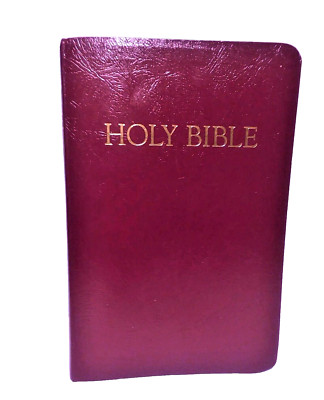 The NRSV Childrens Bible - 2006 - Abingdon Press - Maroon Bonded Leather Cover-image