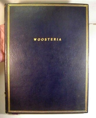 1960 & 1961 Woosteria Leather Bound Yearbook Wooster School - Lyons Gray-image