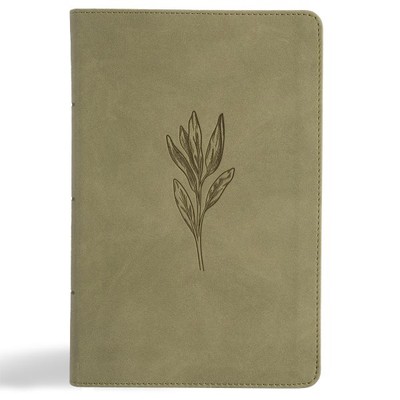 Holy Bible : New American Standard Bible, Sage Suede Soft, Leathertouch, Larg...-image