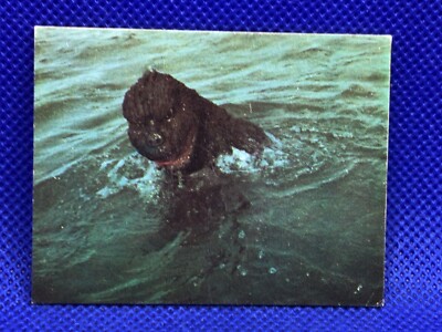 Godzilla Mini menko card 2.5 in No.056 TOHO 1970's Japanese rare F/S-image