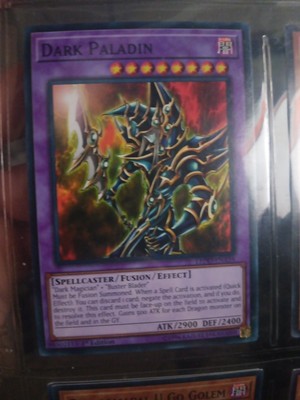 Dark Paladin-image