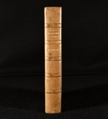 1895 Wild England of Today C J Cornish Illus Fine Binding Henry V Hart-Davis-image