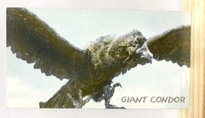Giant Condor Godzilla Monster Encyclopedia 2 Card SFX TOHO TCG Japan No.023-image
