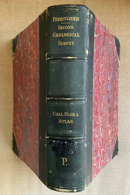 1879 ATLAS TO THE COAL FLORA OF PENNSYLVANIA & CARBONIFEROUS FORMATION in U.S.-image