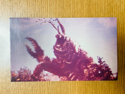 Ganime Godzilla Card  No.62 TOHO From Japan G-72-image