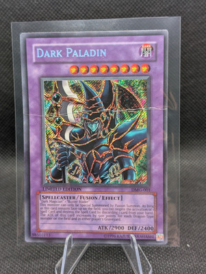 YuGiOh - DARK PALADIN DMG-001 - Duel Master's Guide - Limited Edition-image