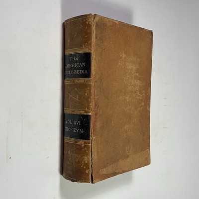 1876 American Cyclopaedia Volume 16 (XVI)  Leather Antique Encyclopedia Single-image