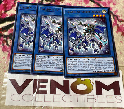 3x (M/NM) - Paladin of Storm Dragon - CYHO-EN031 - Rare - 1st Edition YuGiOh-image