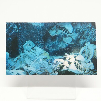 No.22 GodzillaVSDestroyer GOZILLA Card 100 Vol. 3 TOHO EIGA 1995 MOVE Japan -image