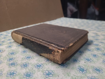 A Dictionary for Primary Schools, by Noah Webster, New York, 1867-image
