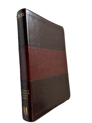 NIV Rainbow Study Bible, Saddle Brown LeatherTouch Imitation Leather Holman Bibl-image
