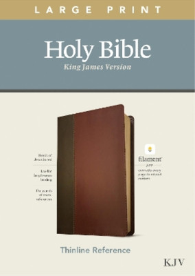 Tyndale House KJV Large Print Thinline Reference Bible, Filament (Leather Bound)-image