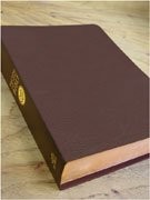 The Word For Today Bible-image