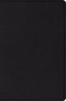 ESV Verse-by-Verse Reference Bible (Leather Bound) (UK IMPORT)-image