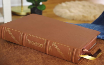 NIV Bible: Thompson-Chain Reference, LARGE Print, Brown Cowhide Leather-image