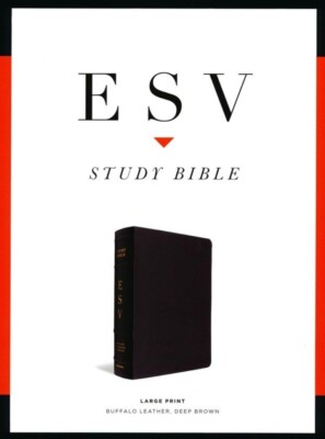 ESV Study Bible Large Print, Genuine Buffalo Leather, Deep BRN (Crossway, 2023)-image