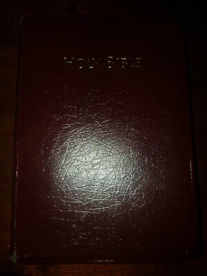 Holy Bible KJV Reference Leather Red Letter World Thumb Burgundy -image